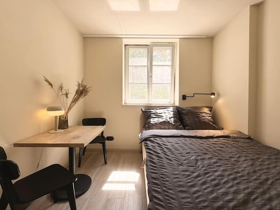 Natural Apartment In The City Center - Old Town Wrocław Eksteriør bilde