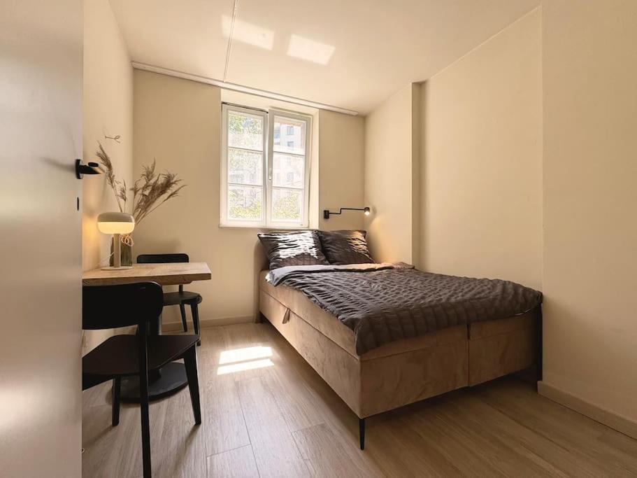 Natural Apartment In The City Center - Old Town Wrocław Eksteriør bilde